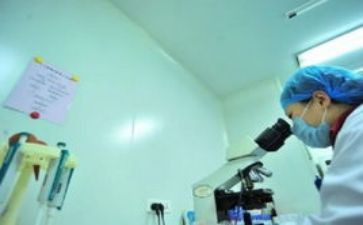 教务处个人工作计划7篇