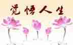 人生感悟的演讲稿800字5篇
