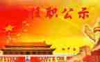 现任职工作总结7篇