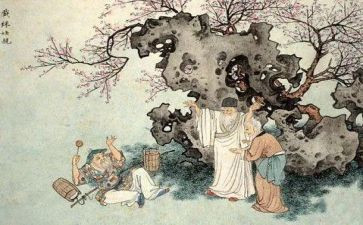 儒林外史传读后感模板6篇