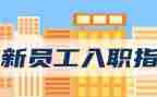 主任入职工作计划5篇