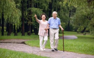 散步教案推荐5篇