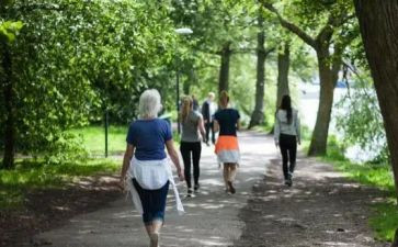 散步、读后感精选5篇