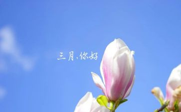 2024年幼儿园三月份工作总结6篇