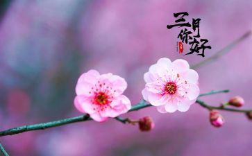 关于三月的演讲稿8篇