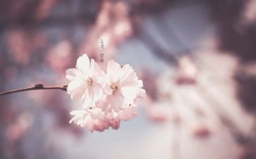 三月份月工作总结6篇