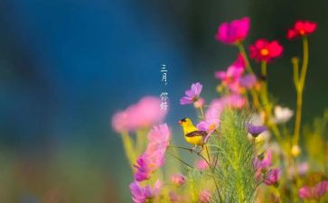三月雷锋心得体会5篇
