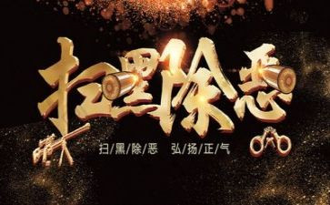 局扫黑除恶工作总结6篇