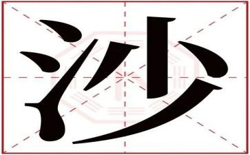 沙与沫的读后感100字7篇