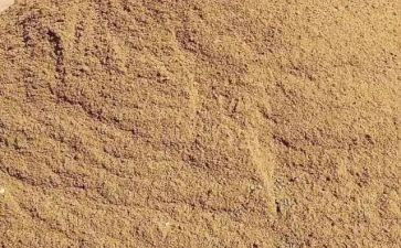 沙与沫读后感800字作文优质8篇