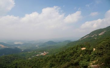 狼和山羊读后感6篇