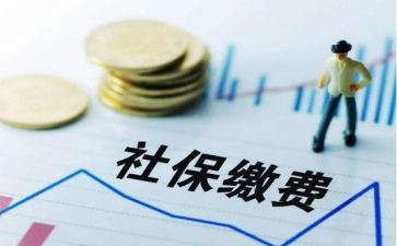 社保工作总结7篇