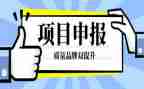 教师申报职称专业技术工作总结8篇