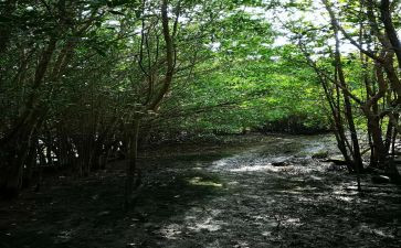 记忆的深处作文600字模板7篇