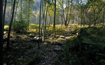 记忆的深处作文600字8篇