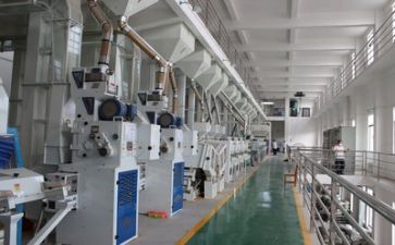 2024安全生产述职报告8篇