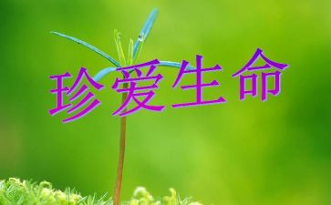 生命生命演讲稿优质8篇