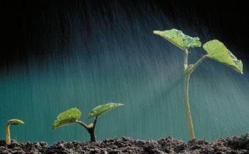 生命读后感参考5篇