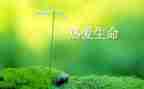 爱自己爱生命的演讲稿7篇