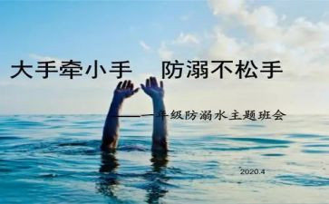 鸡生命活动方案8篇