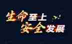 生命至上心得体会8篇
