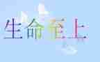 生命至上安全演讲稿参考6篇