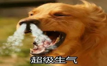生气与不生气作文通用7篇