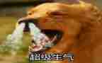 生气与不生气作文通用7篇