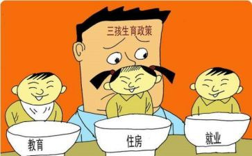 局生育工作总结优秀7篇