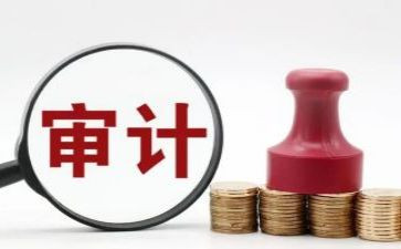 审计的工作总结通用5篇