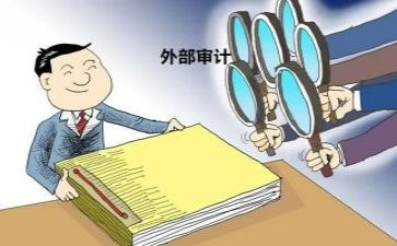 财务审计工作总结个人范文8篇