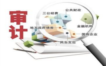 领导会审计讲话稿5篇