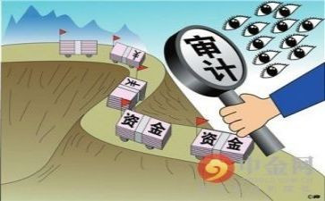 审计的工作总结模板5篇