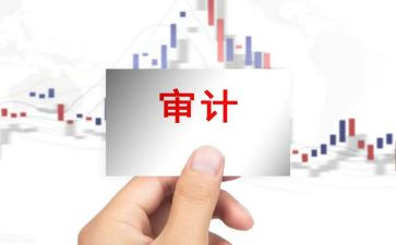 审计助理年终总结8篇