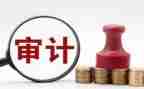 审计的工作总结通用5篇