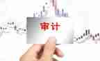 审计助理年终总结8篇