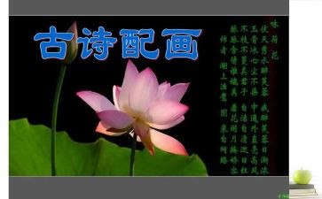 关于诗的作文最新7篇
