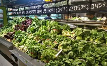 及市场调查报告推荐5篇