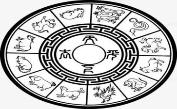 大班活动十二生肖教案8篇