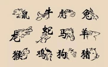 大班十二生肖教案优质7篇