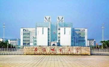 师范类个人总结最新6篇