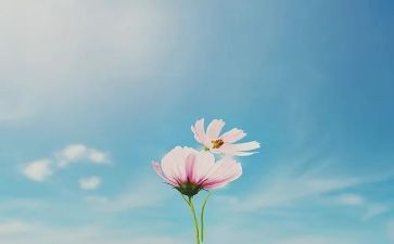 我们的十年主题演讲稿5篇