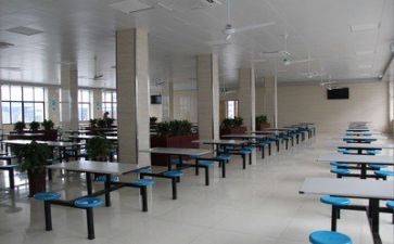 2024年食堂个人总结模板7篇