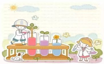 小实验作文300字8篇