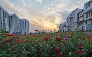 市营调查报告最新6篇