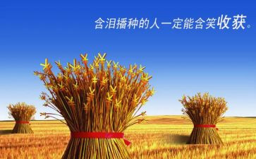 劳动收获及心得体会8篇