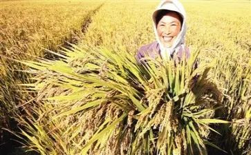 谈收获演讲稿7篇