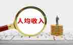 农民收入的调查报告5篇