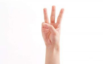 画手指教案精选5篇