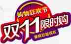 双11总结报告7篇